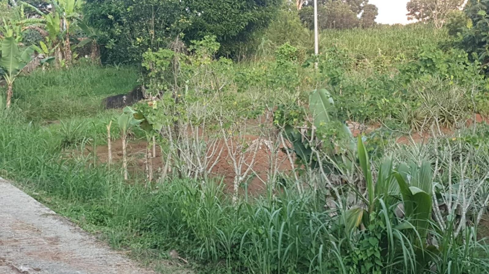 Villa Les Mahoganys Riviere-Salee Ngoại thất bức ảnh